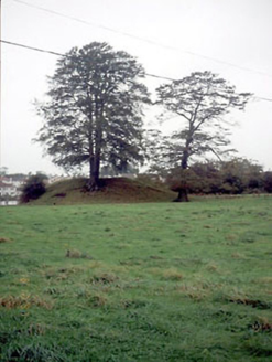 Convent Road,  ATHLUMNEY, Navan,  Co. MEATH