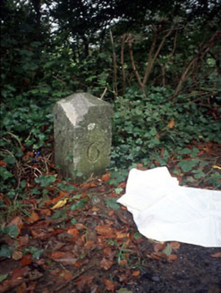 ATHLUMNEY, Navan,  Co. MEATH