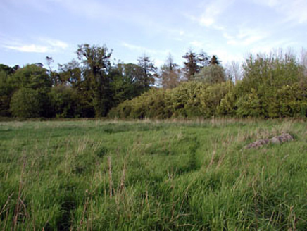 SLANECASTLE DEMESNE, Slane,  Co. MEATH