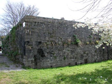 Mill Street,  TOWNPARKS NORTH, Trim,  Co. MEATH