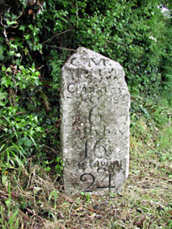 NEWSTONE,  Co. MEATH