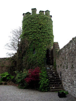 Larchill House, PHEPOTSTOWN,  Co. MEATH