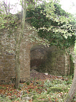 Mount Briscoe, MULLALOUGH OR CAVEMOUNT,  Co. OFFALY