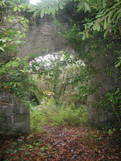 Charleville Castle, CHARLEVILLE DEMESNE, Tullamore,  Co. OFFALY