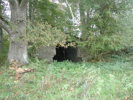 Charleville Castle, CHARLEVILLE DEMESNE, Tullamore,  Co. OFFALY