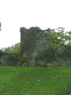 Whigsborough House, WHIGSBOROUGH,  Co. OFFALY