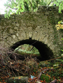 Ballinacarrig Mills, BALLYNACARRIG,  Co. OFFALY