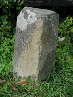 MONEYGUYNEEN,  Co. OFFALY