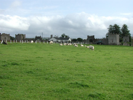 Franckfort Castle, FRANCKFORT, Dunkerrin,  Co. OFFALY