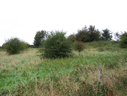 Talbot Avenue,  RANELAGH, Athlone,  Co. WESTMEATH