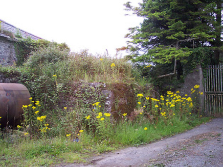 Kinturk House, KINTURK DEMESNE, Castlepollard,  Co. WESTMEATH