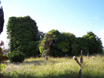 Killefree Graveyard, Church Lane,  TOWNPARKS, Castlepollard,  Co. WESTMEATH