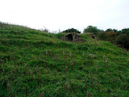 Killua Castle, KNOCK KILLUA, Clonmellon,  Co. WESTMEATH