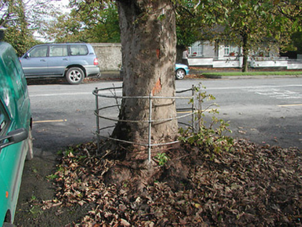 CLONMELLON, Clonmellon,  Co. WESTMEATH