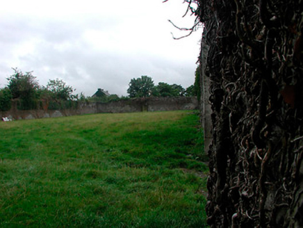 The Castle, Main Street,  CARTRONKEEL, Moate,  Co. WESTMEATH