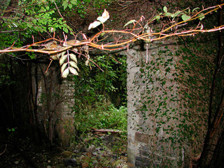 Middleton Park House, Castletown Geoghegan,  Co. WESTMEATH