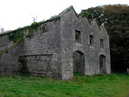 Coolure House, COOLURE DEMESNE,  Co. WESTMEATH