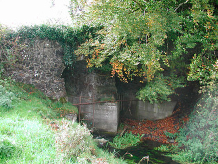 Snipe's Bridge, CAVESTOWN,  Co. WESTMEATH