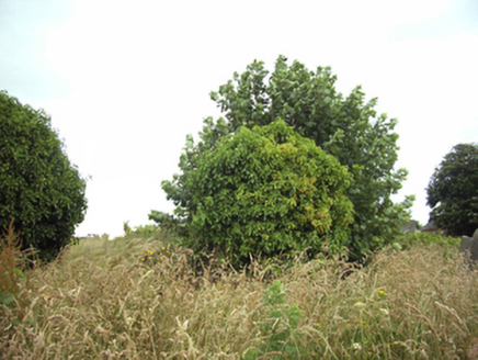 MAUDLINTOWN (FO. BY.), Wexford,  Co. WEXFORD