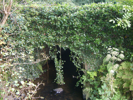 CURRAGH,  Co. WEXFORD