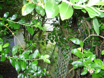 MORRISCASTLE,  Co. WEXFORD