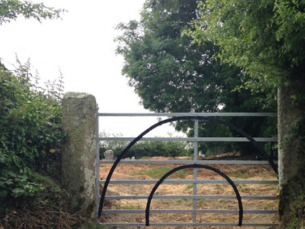 KILLEGNEY,  Co. WEXFORD