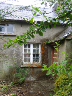 TOWNAMULLOGE, Courtnacuddy,  Co. WEXFORD