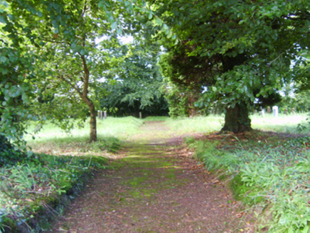 COOLADINE,  Co. WEXFORD