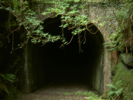 MOUNTELLIOTT,  Co. WEXFORD