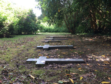 Johnstown Castle, JOHNSTOWN (FO. BY.),  Co. WEXFORD