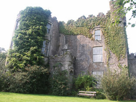 Carnew Castle, Main Street,  CARNEW, Carnew,  Co. WICKLOW