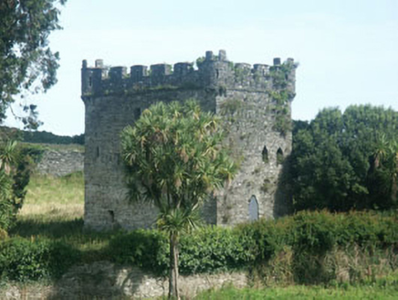 Kiltimon Castle, DUNRAN DEMESNE,  Co. WICKLOW
