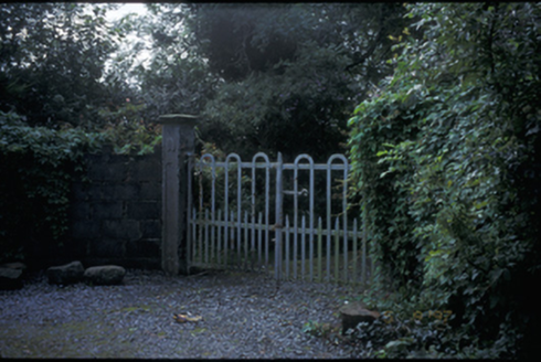 Dangananella House, DANGANANELLA EAST, Cooraclare,  Co. CLARE