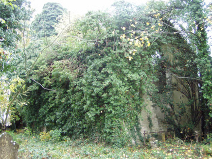 Rahan Church, BALLYMAGOOLY,  Co. CORK