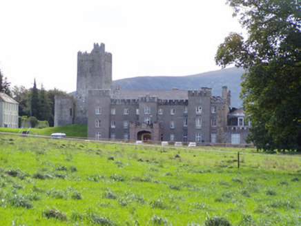 Drishane Castle, DRISHANE MORE,  Co. CORK
