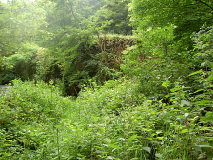 Rye Court Bridge, RYECOURT,  Co. CORK