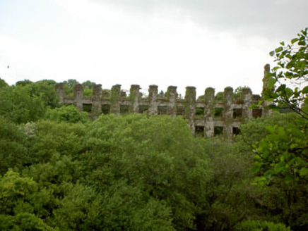 Overton Mill, KNOCKNAGARRANE, Oldchapel,  Co. CORK