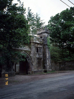 Dromore Castle, DROMORE (DU. S. BY.),  Co. KERRY