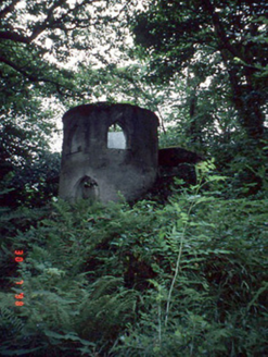 Teach Dhoire Fhíonáin [Derrynane House], DARRYNANE MORE,  Co. KERRY