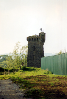 LIMERICK MUNICIPAL BOROUGH, Limerick,  Co. LIMERICK