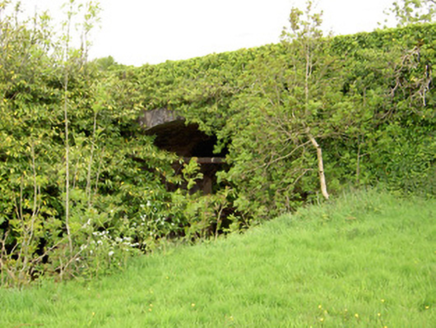 Ironmills Bridge, RAHYVIRA, Ironmills,  Co. TIPPERARY SOUTH