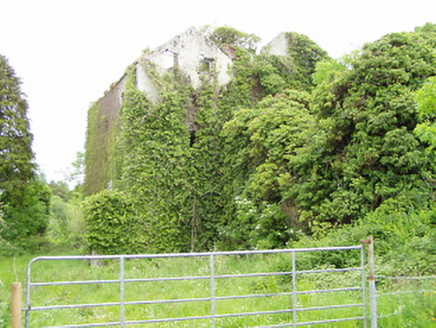 Castlelake Mill, BALLINAMONA (HOREABBEY PR),  Co. TIPPERARY SOUTH