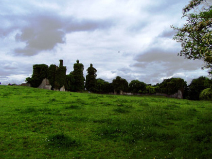 Thomastown Castle, THOMASTOWN DEMESNE, Thomastown,  Co. TIPPERARY SOUTH