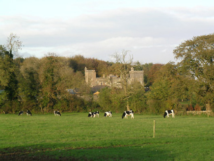 Tullamain Castle, TULLAMAIN (TULLAMAIN PR),  Co. TIPPERARY SOUTH