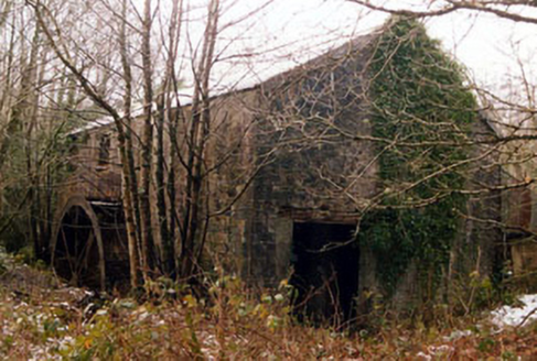 Galty Castle, SKEHEENARANKY,  Co. TIPPERARY SOUTH