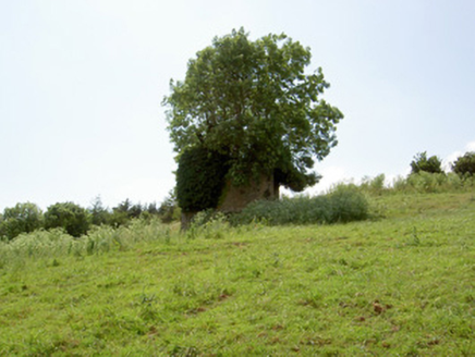 Loughlohery Castle, LOUGHLOHERY,  Co. TIPPERARY SOUTH