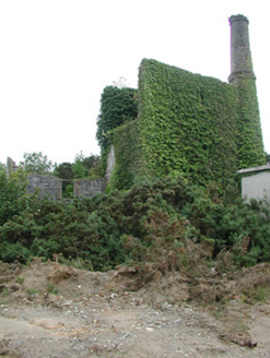 Shallee Lead Mine Works, SHALLEE (COUGHLAN),  Co. TIPPERARY NORTH