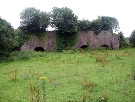 COOLFINN, Portlaw,  Co. WATERFORD