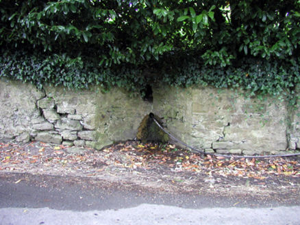 Shaw's Spout, COOLROE (UPP. BY.) CLONAGAM PAR., Portlaw,  Co. WATERFORD