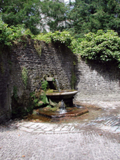 New Way,  LISMORE (COS. BY.), Lismore,  Co. WATERFORD